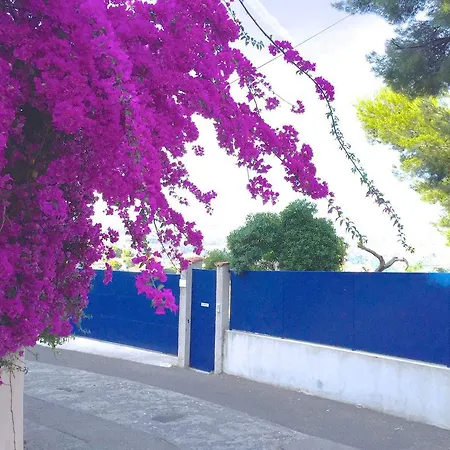 Apartment Le Piol Nice